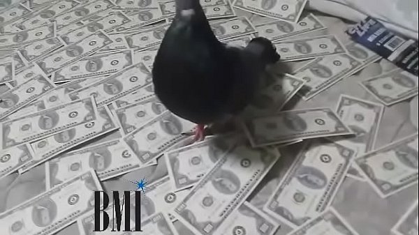 RO lay you down high definition 