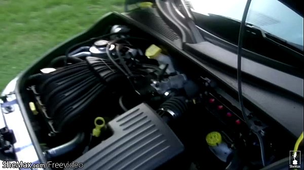 Play MP4 - Chubby black shemale shakes massive ass and jerks shecock