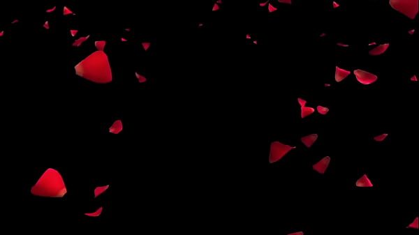 Nonton Igc Spotlight On Rose- Our Sweet Star thumbnail