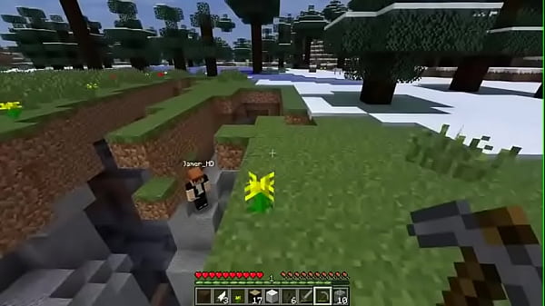 Vinicius 13 casa automatica 