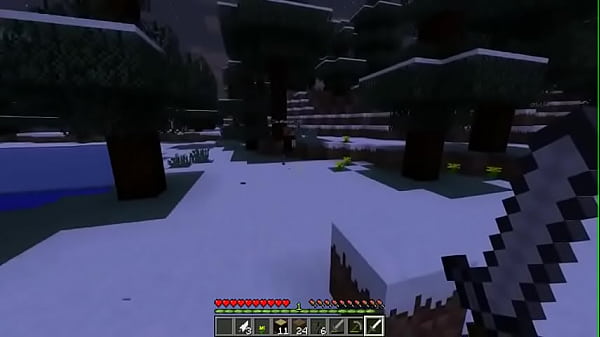 Vinicius 13 casa automatica