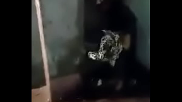 12449845 1678571502358311 1838122399 n