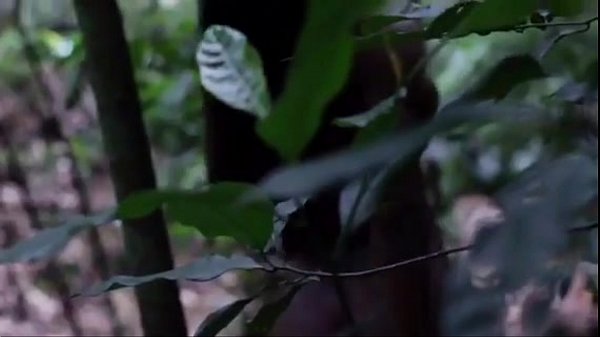 Play MP4 - trim&period;C17C64F6-67A0-4948-A716-EA9874699A96&period;MOV