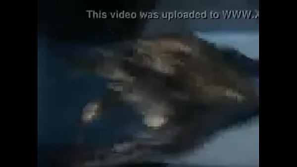 Nonton Xvideos.com 9c2497f32020c3f8052f4c2b828433fc thumbnail