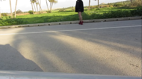 &Beta;ί&nu;&tau;&epsilon;&omicron; &epsilon;&pi;&alpha;&lambda;ή&theta;&epsilon;&upsilon;&sigma;&eta;&sigmaf; 