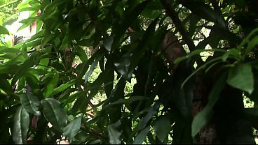 Angel long is making her fantasy of fucking two cocks at once come true