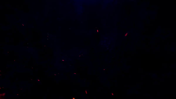 Nonton Two Huge Black Cocks In The Ass Of Beautiful Jazmine White, Dap, Deep Balls, Anal, Bbc thumbnail