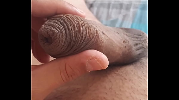 &Kappa;&alpha;&lambda;&omicron;&kappa;&alpha;&iota;&rho;&iota;&nu;&epsilon;&sigmaf; &Alpha;&nu;&eta;&sigma;&upsilon;&chi;&iota;&epsilon;&sigmaf; 