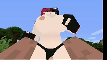 V&iacute_deo de verifica&ccedil_&atilde_o