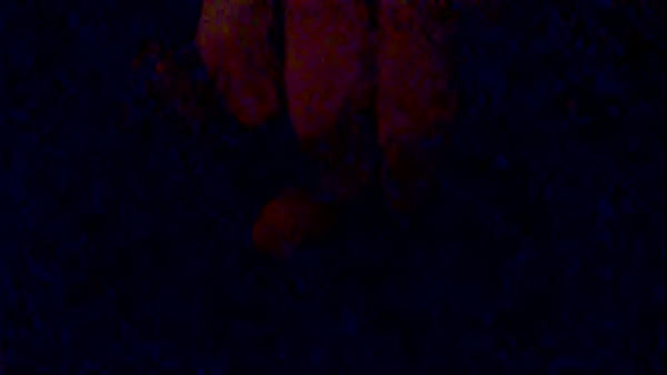 Cute white_girl sucks bbc_like a pro