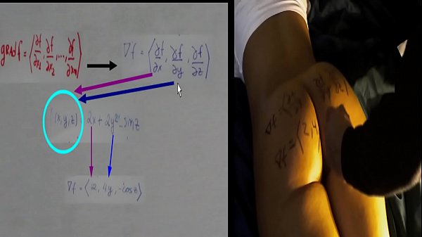 Gradiente de uma fun&ccedil;&atilde;o ci&ecirc;ncias exatas 
