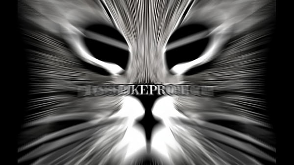 New Project Reveal thumbnail