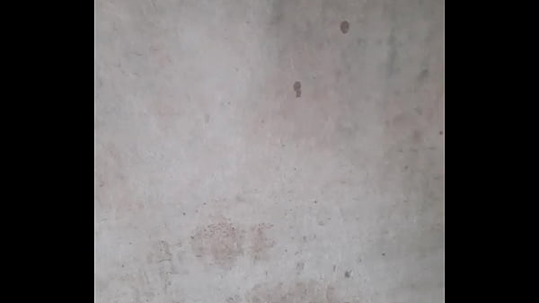 V&iacute;deo de verifica&ccedil;&atilde;o 