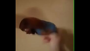 Little Ebony Doll getting thrown around by famous musician Radley Sanders