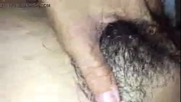 Play MP4 - Anh th&acirc;n chị ngọ bi&ecirc;n hòa