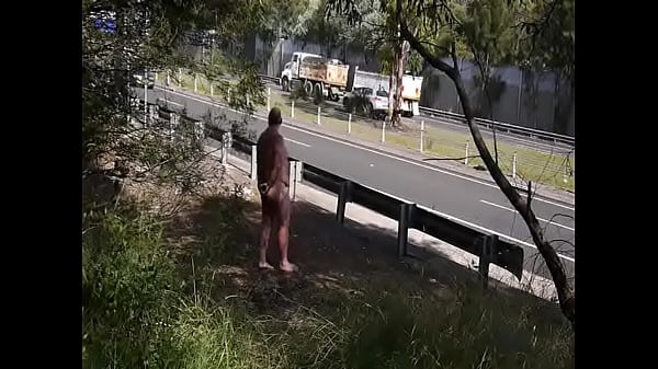 Public Nudity By Freeway