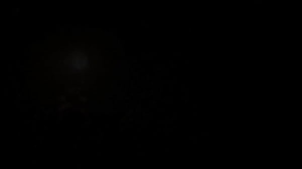 Nonton Tifa Fucked & Creampied In The Flower Garden-final Fantasy Vii Extended On! (pmv-hmv-sfm) thumbnail