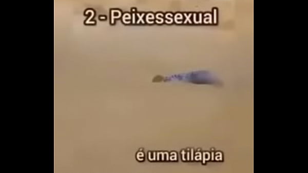 Shitpost compilation in spanish