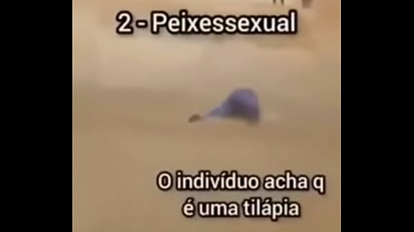 Shitpost compilation in spanish