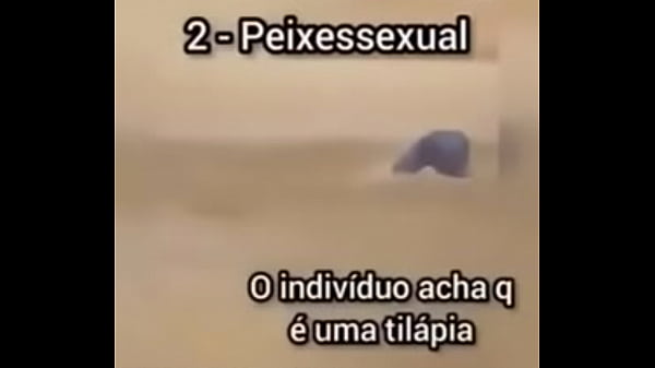 Shitpost compilation in spanish