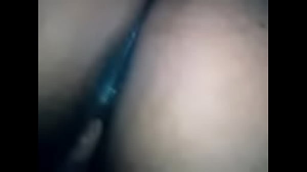 zorra