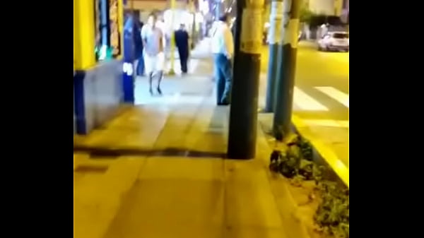 Visitando telos de lince 