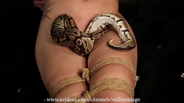Голая связанная девушка со змеями thumbnail