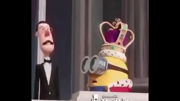 Ověřovac&iacute; video 