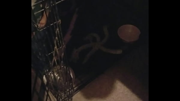 Boots is awesomeness 