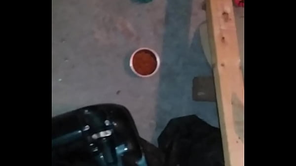 Nonton 20160813 005257 thumbnail