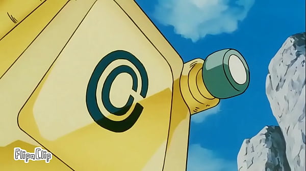 El maestro roshi es un pillin 