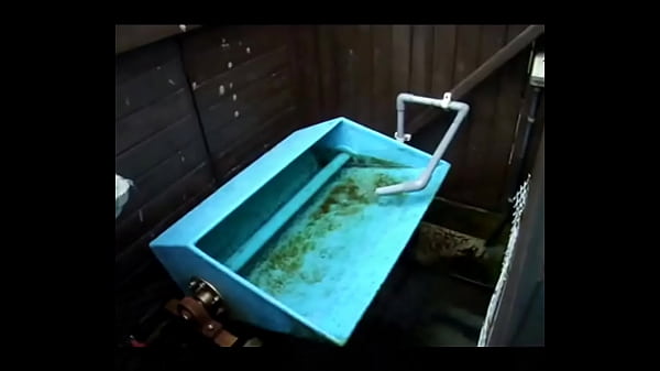 Nonton ここで一句 thumbnail