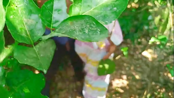 Indian jungle sex video