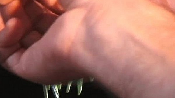 Nonton Sexy Brunette Chick Katie Gets Tied thumbnail