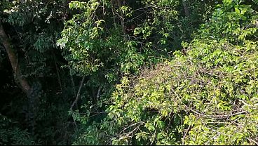 Drone Flagra Casal Transando Na Trilha Do Morro Itacolomi Em Gravatai thumbnail