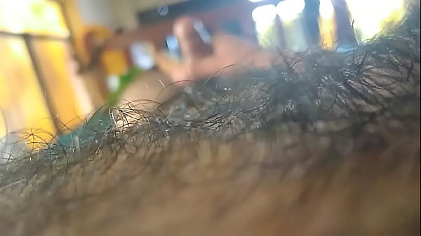 Play MP4 - PAJA MA&Ntilde;ANERA DE VENECO EN PERU