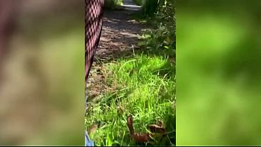 Another Live Webcast At A Park Then A Public Toilet thumbnail