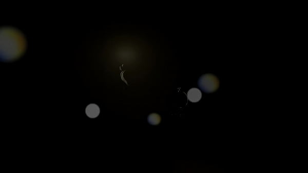 Play MP4 - SAHARA KNITE - Asian Pussy Unleashed no 2