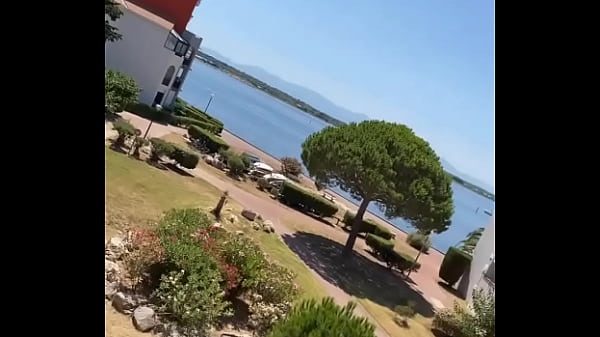 Cindy lou off update #33 jul 17 2022