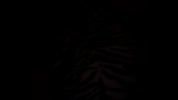 Nonton Vid 20140911 234056 thumbnail