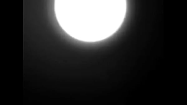 Bad Apple_360P BUENA CALIDAD