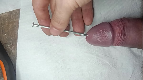 Dick nailed pierced cock