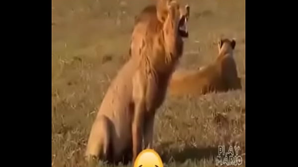 2d6f667602ece0fc15f031049a6687c5 