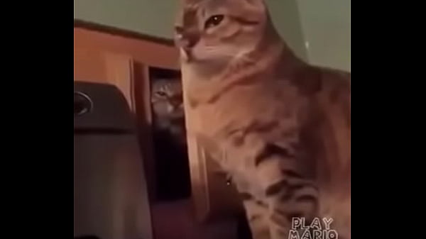 2d6f667602ece0fc15f031049a6687c5