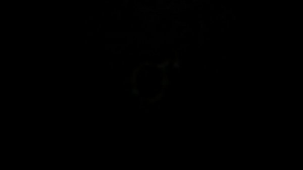 Charles_DICKHEADS HERMIONE GRANGER and the Invisible Visitor