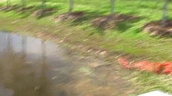 OutdoorsInJustAThong 