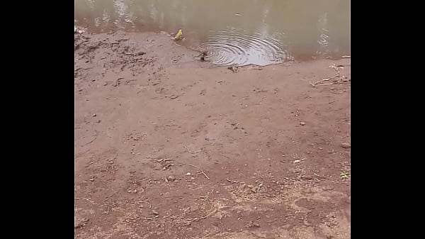 GripygripygripygripyVerification video