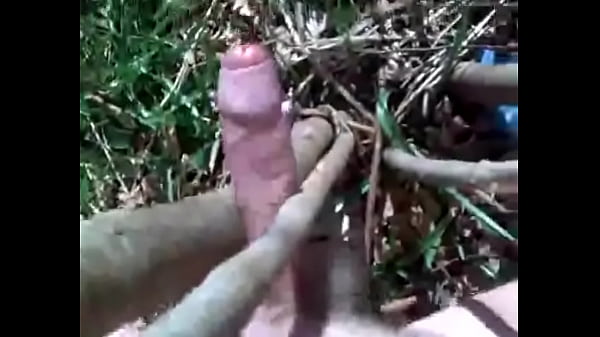 Play MP4 - Wanking in woods19