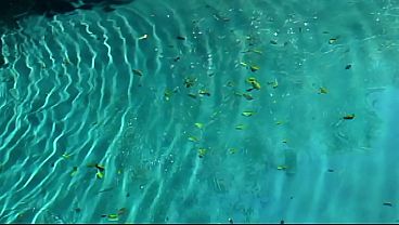 Nonton Crazy Double And Anal Penetration With Daphne Rosen - Very Hard Core Porn thumbnail