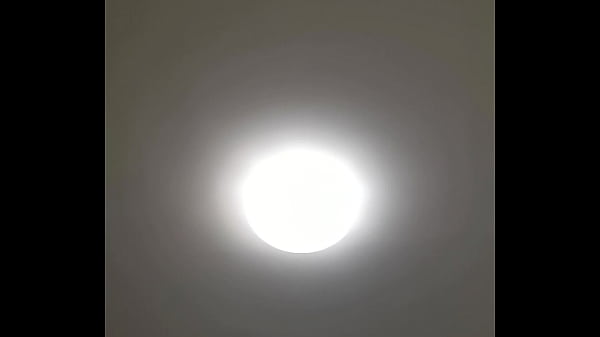验证视频